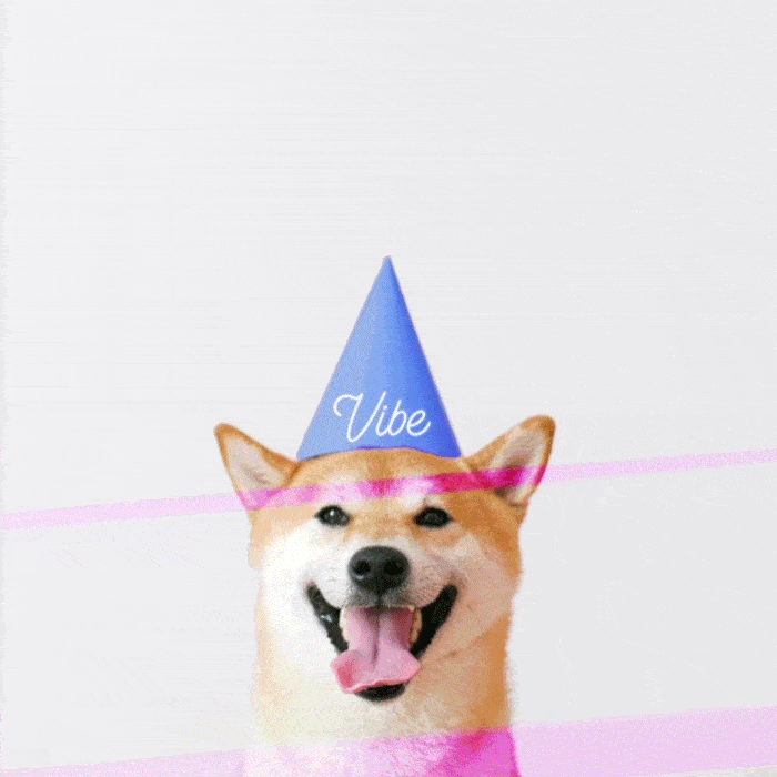 Dog with a Vibe Party Hat